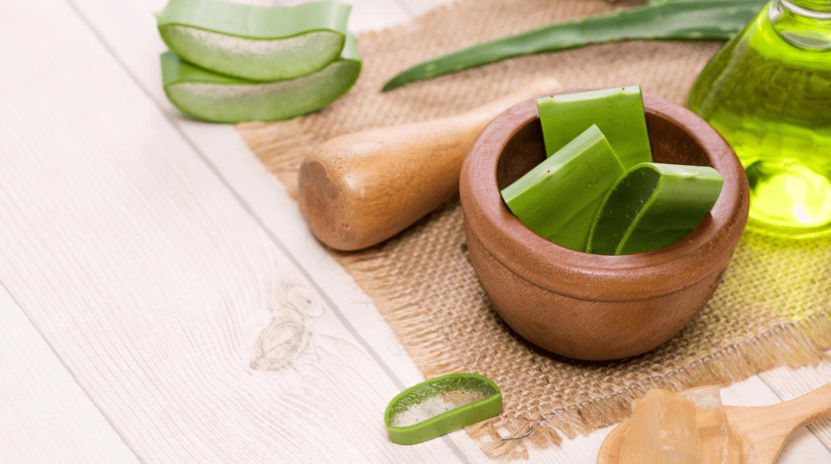 Quali sono i benefici Aloe